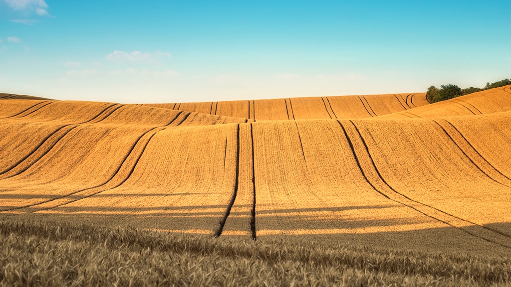 Image of very hilly terrain.