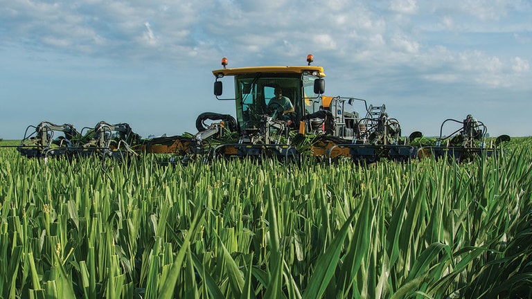 Hagie™ Self-Propelled Detasseler