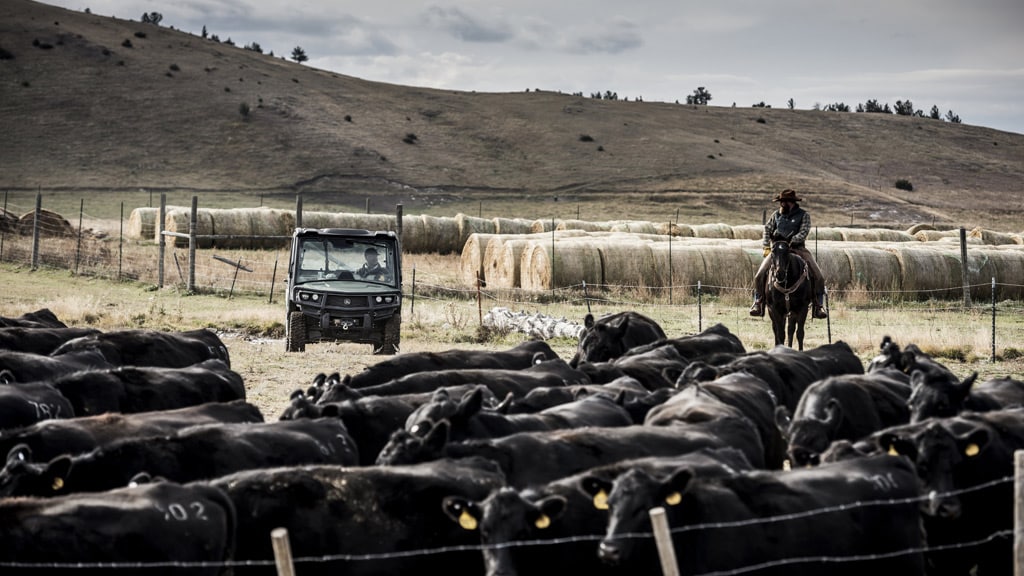 Farming and Ranching