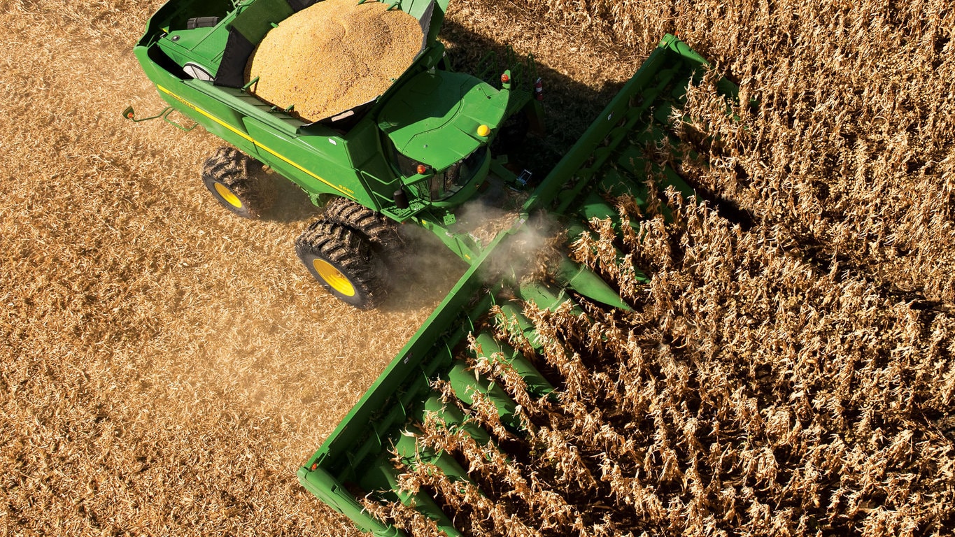 Field image 0f 716C Corn Head