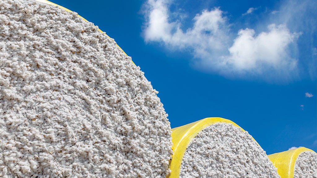 Close-up image of dense bales of cotton