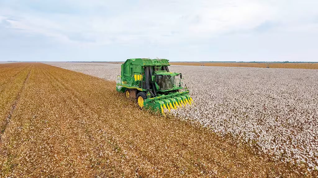 Cotton harvester harvesting cotton in field