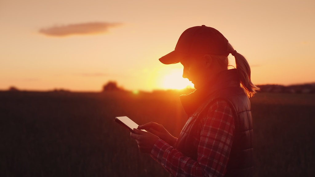 Image of woman with tablet at sunset