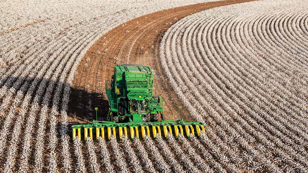 Harvesting a cotton field.