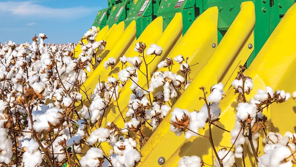 Close up of cotton being harvested by cotton harvester