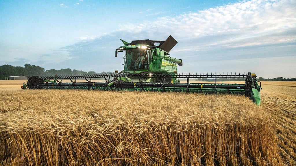 Combine harvester cuts through ripe wheat in a golden field under a blue sky, showcasing harvest time in rural agriculture.