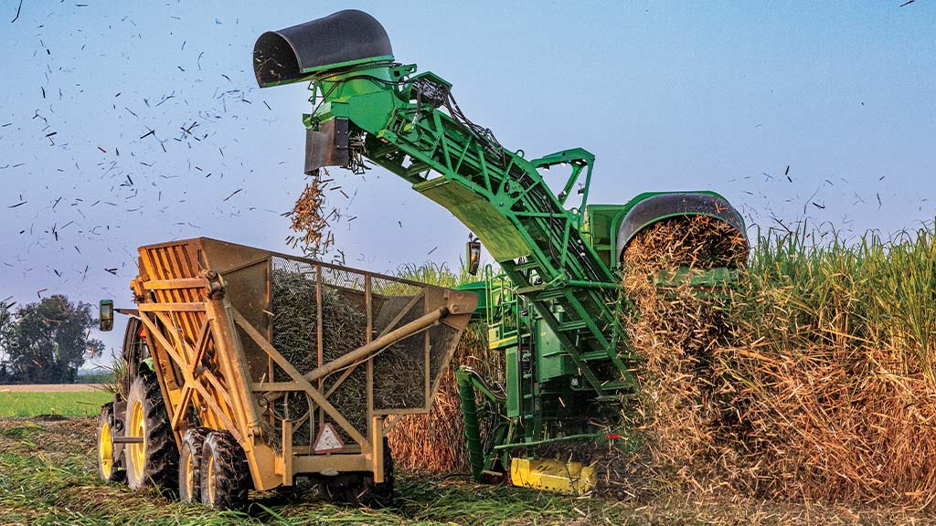 Rear-view photo showing a CH Series Sugar Harvester unloading crop into a tractor-pulled grain cart.