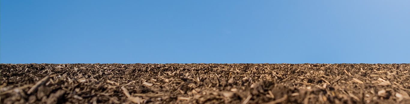 Worms view of field with clear blue sky.