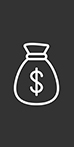 Money bag icon