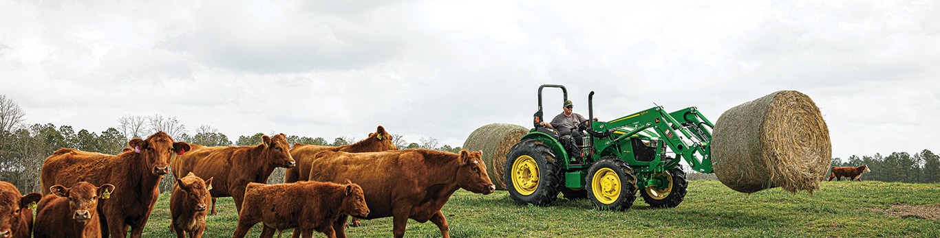 A green tractor carries two bales of hay past a small group of cows in a pasture.