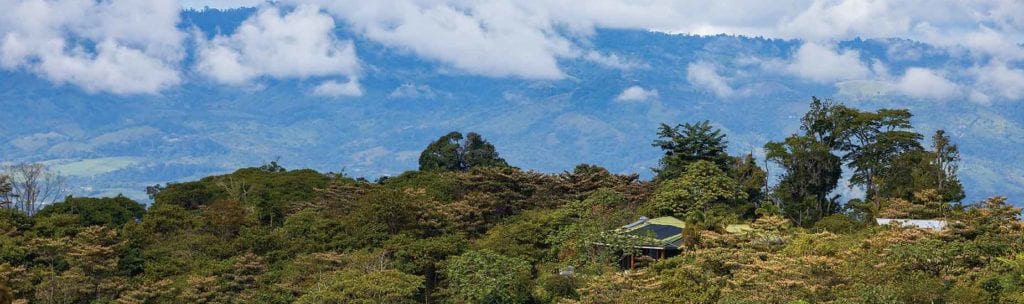 Rain forest overlooking the Peñas Blanca river valley