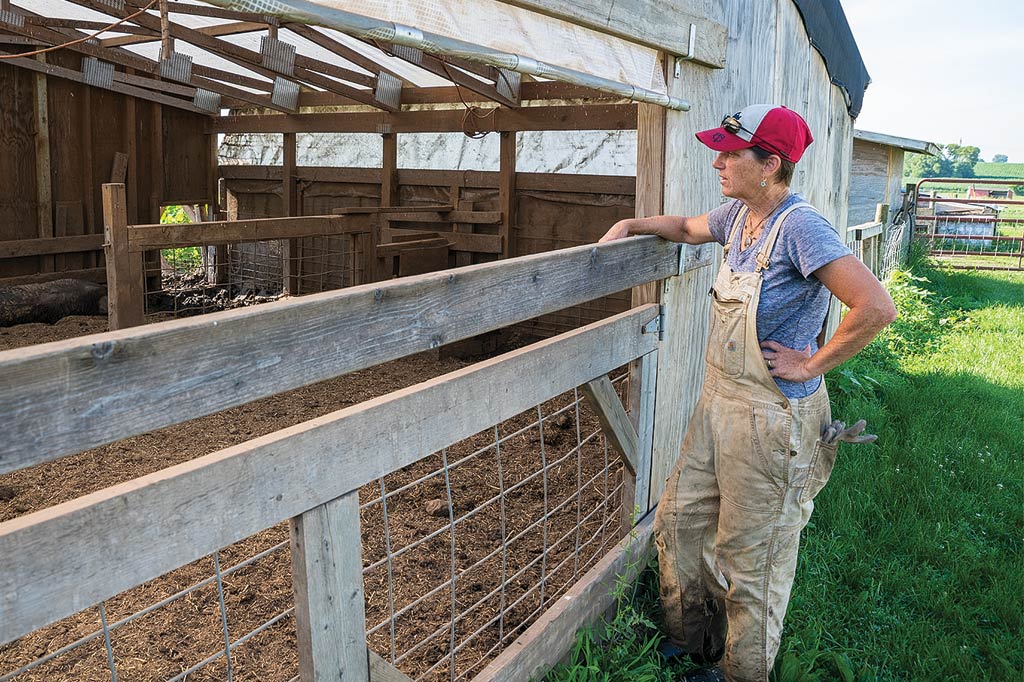 wiess watching her pigs