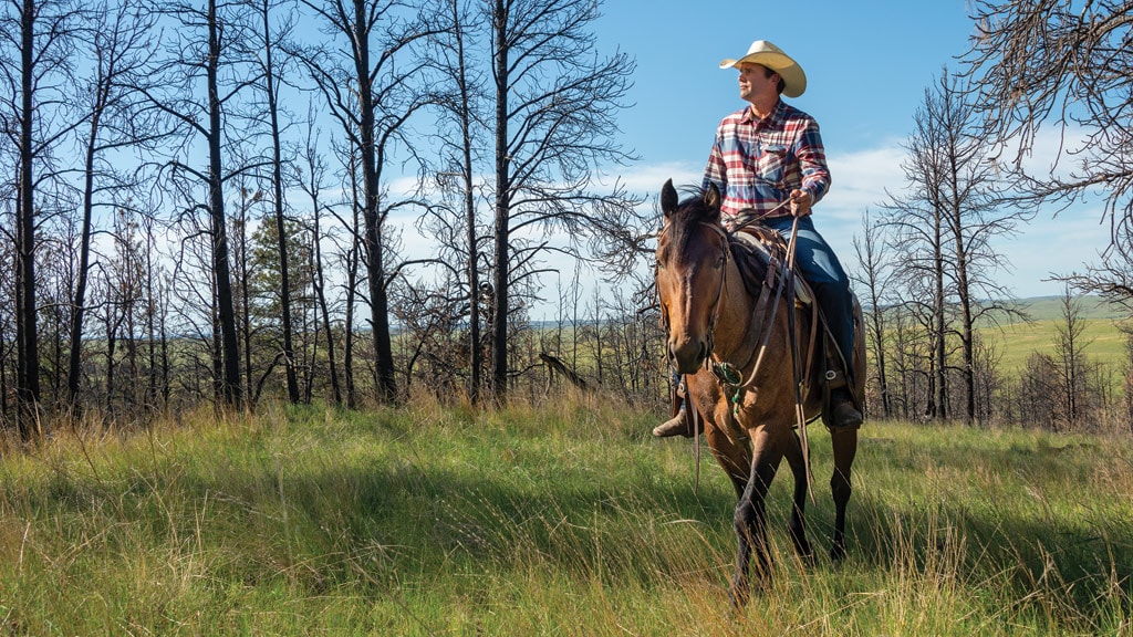 Man on horse