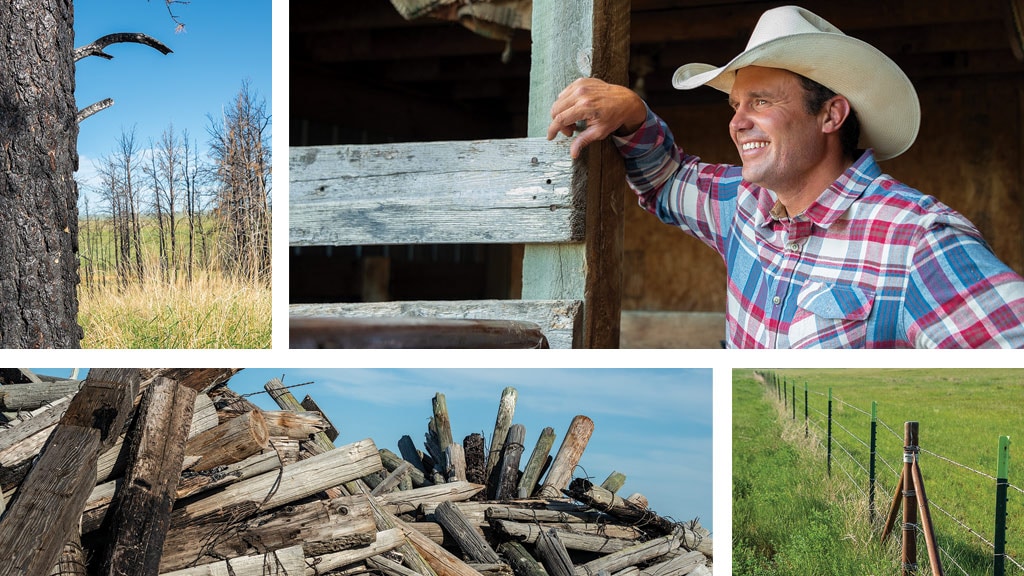 Man standing by fence, fence posts, metal fence collage