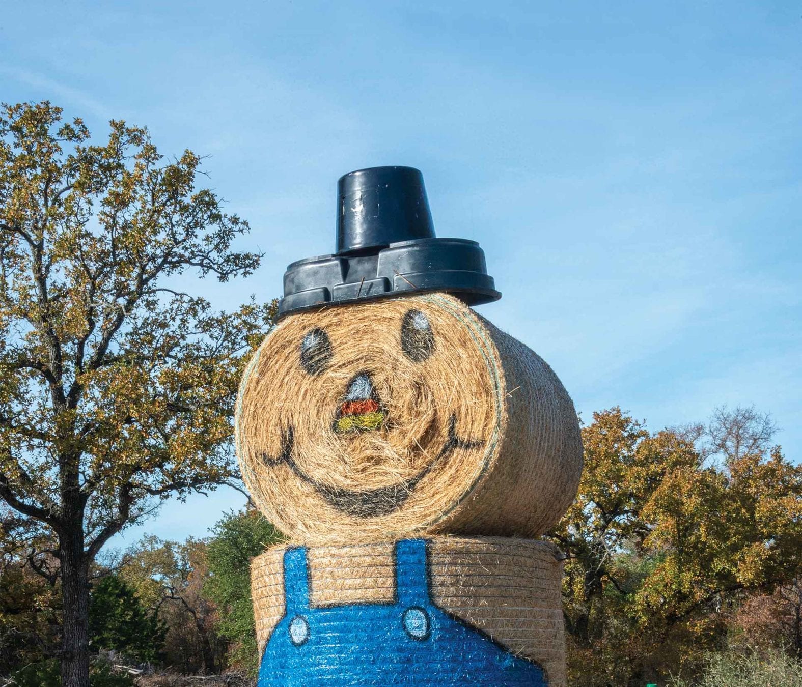 Hay Bale with painted face
