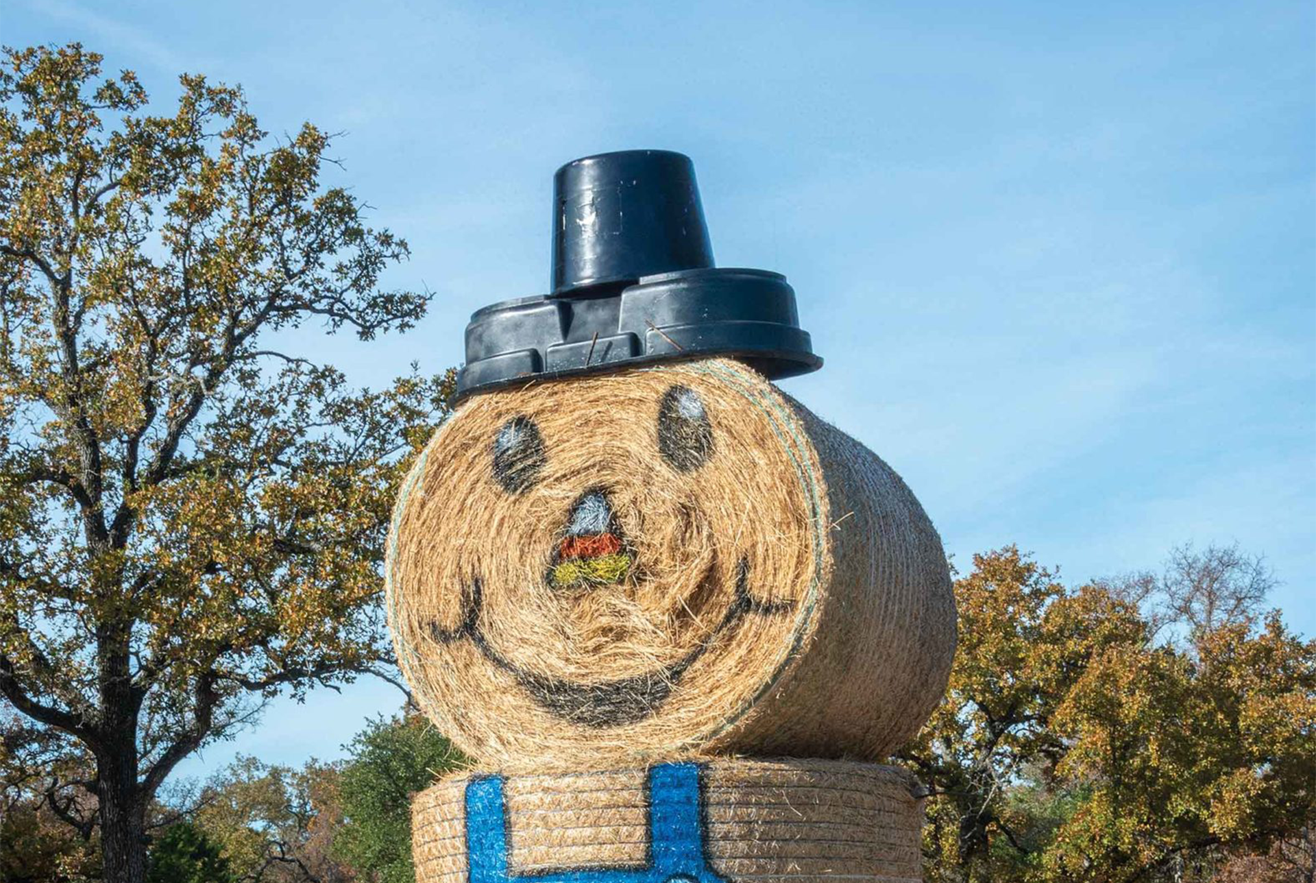 Hay bale painted as steer