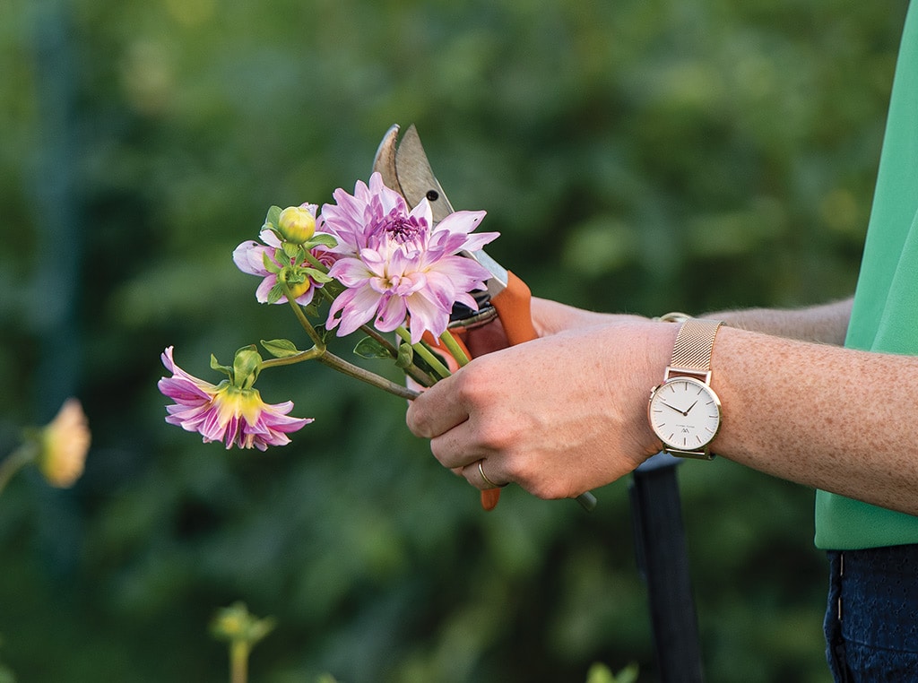 hand holding shears and a small bunch of flowers