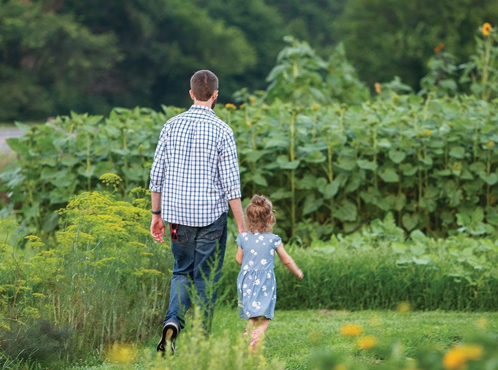man and child walking into a sunflower field