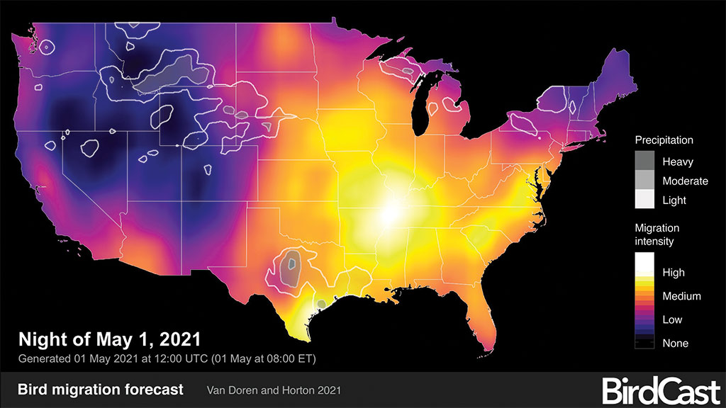 map of bird migration