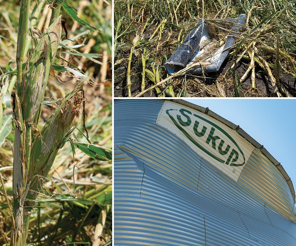 images of corn and damage to crops and fields equipment