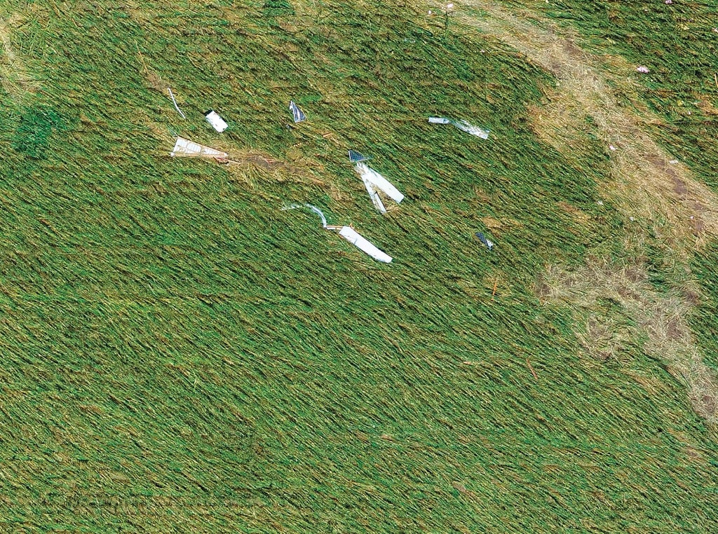 destroyed corn in field from derecho