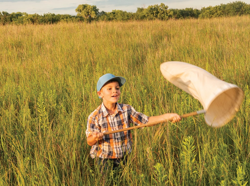 Wyatt Basinger (8) learns to use a sweep net to collect insects for identification at a field day in Kansas.