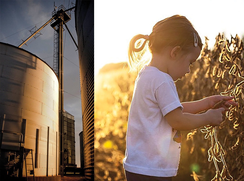 Grian silo and child in wheat