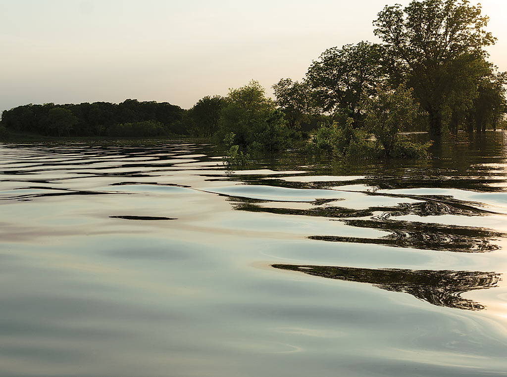 flood water photo