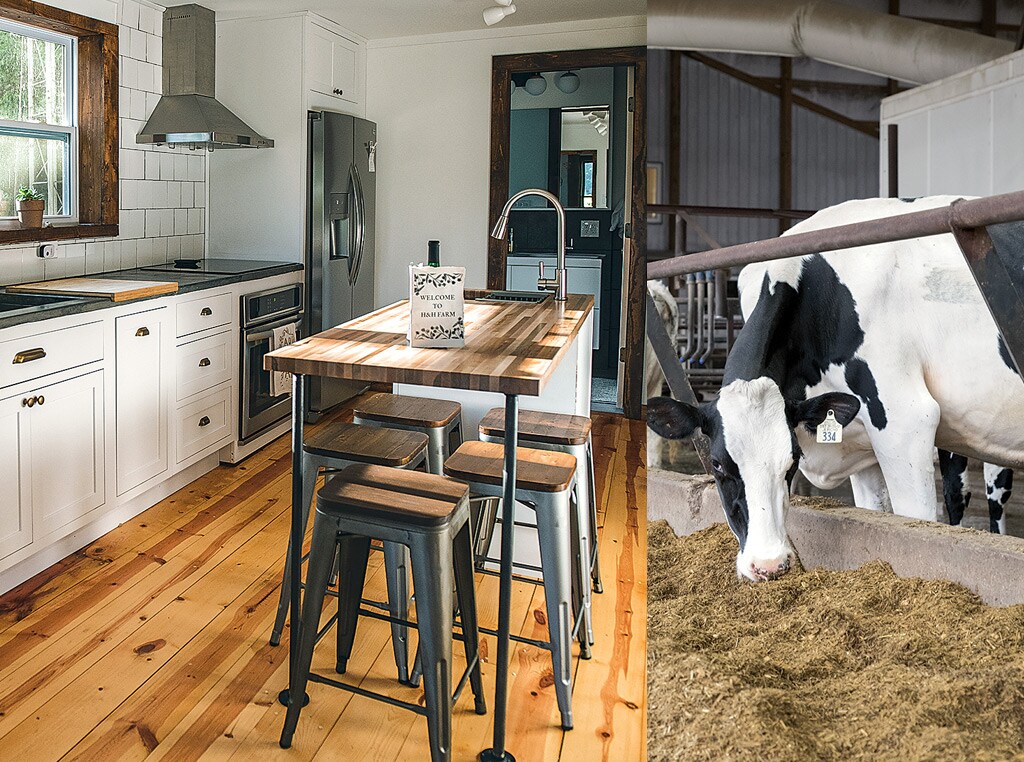 Kitchen remodeled and cows 