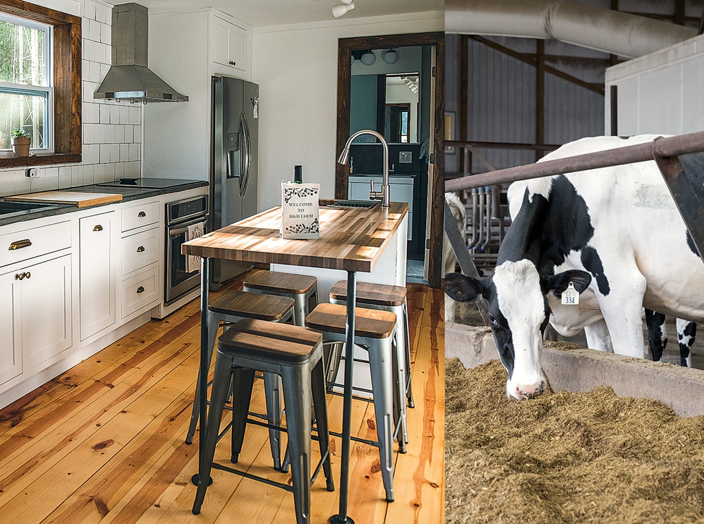Kitchen remodeled and cows