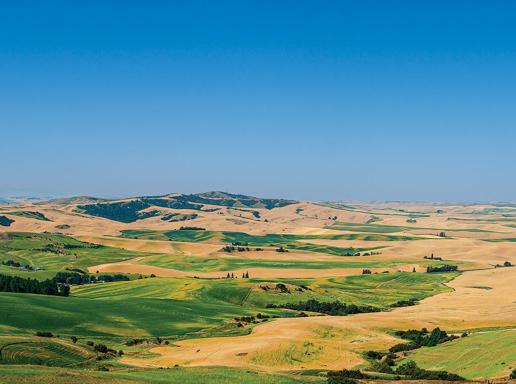 prairie photo with blue sky