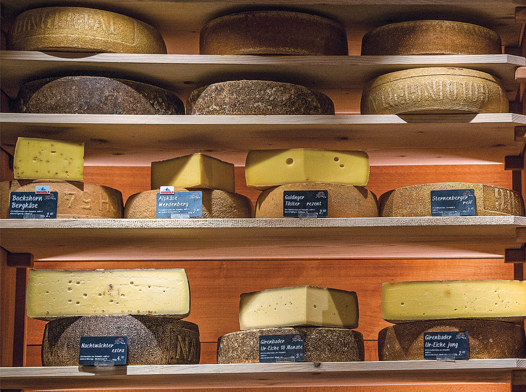 Cheese in room with humidifiers