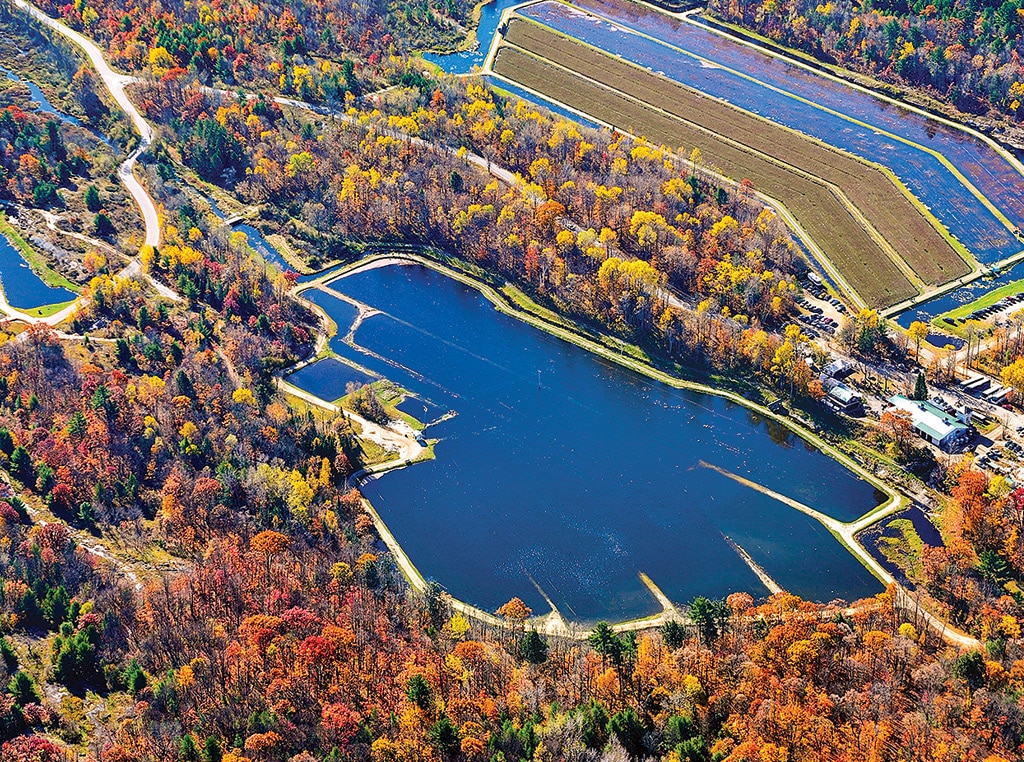 Fall colors over lake