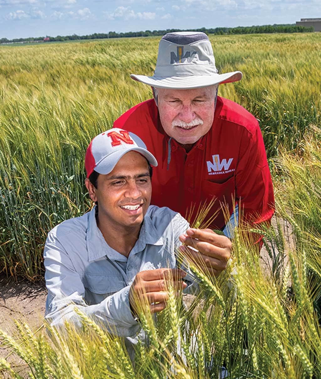 two men looking at wheat