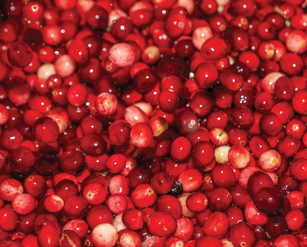 cranberries