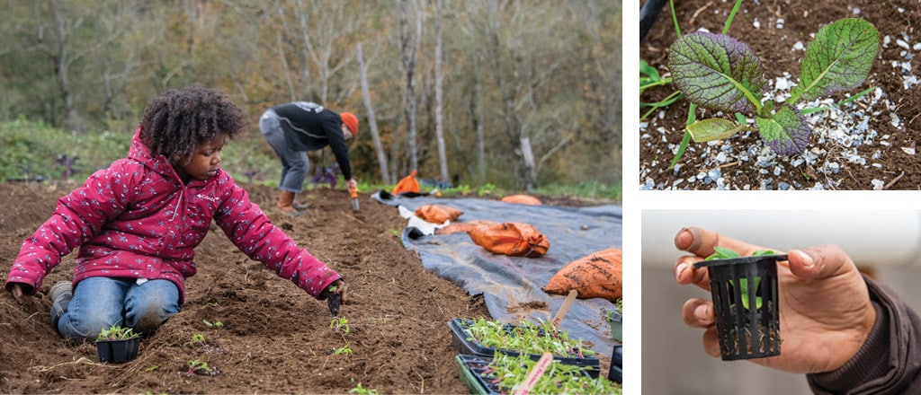 little girl planting seeds