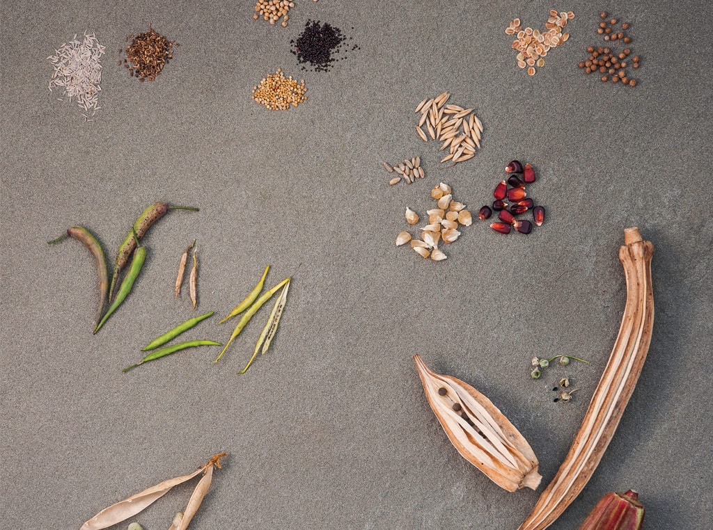 Seeds on a table 