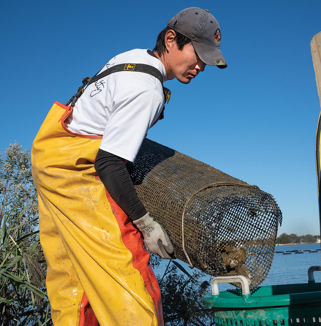 Scott Budden Empties a floating bag at his oyster farm