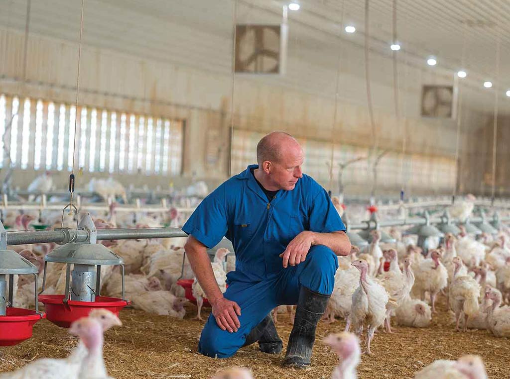 John with turkeys in building