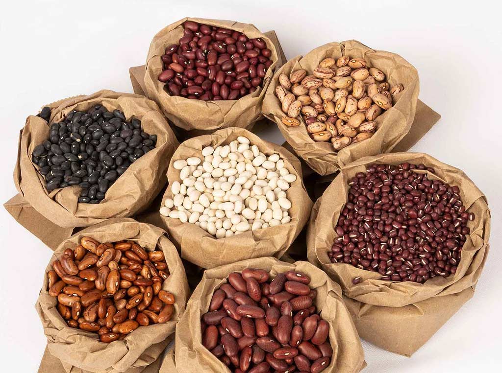 Dry Bean Alternatives