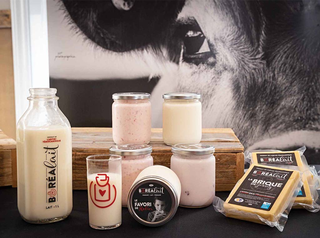 photo of various milk based products