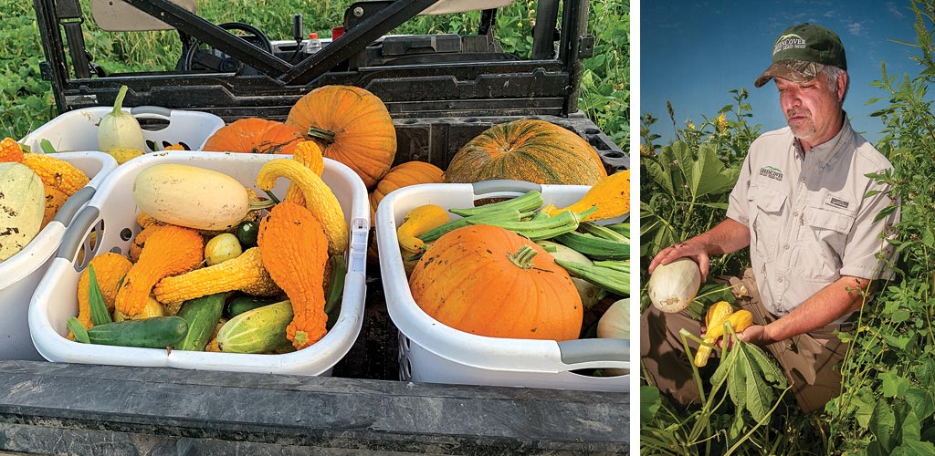 Harvest vegetables baskets and keith berns offers up plants