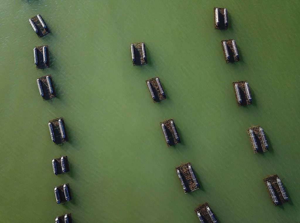 Oyster cages floating