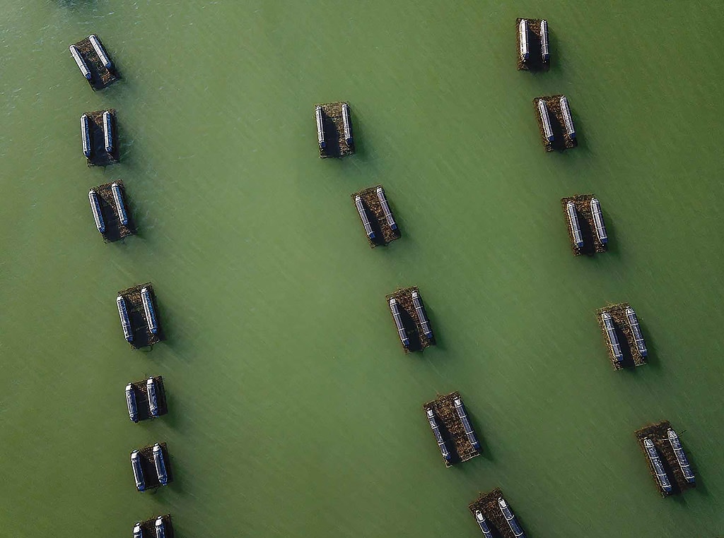 Oyster cages floating