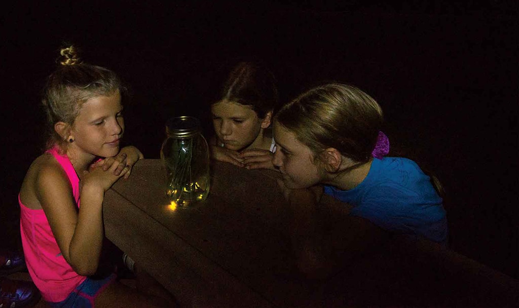 Sisters watching fireflies