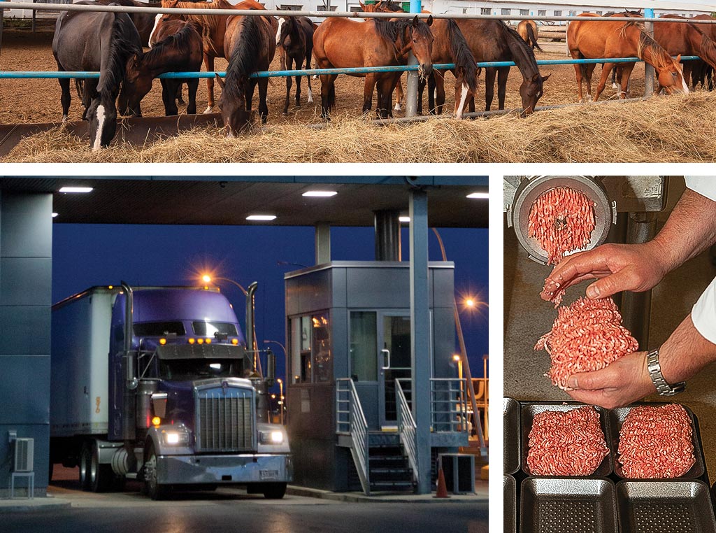 truck, horses, and meat