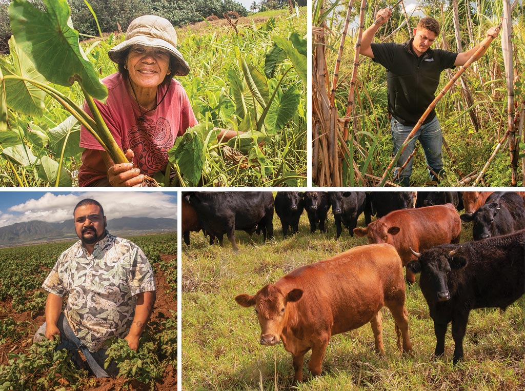 farmers, produce, and livestock