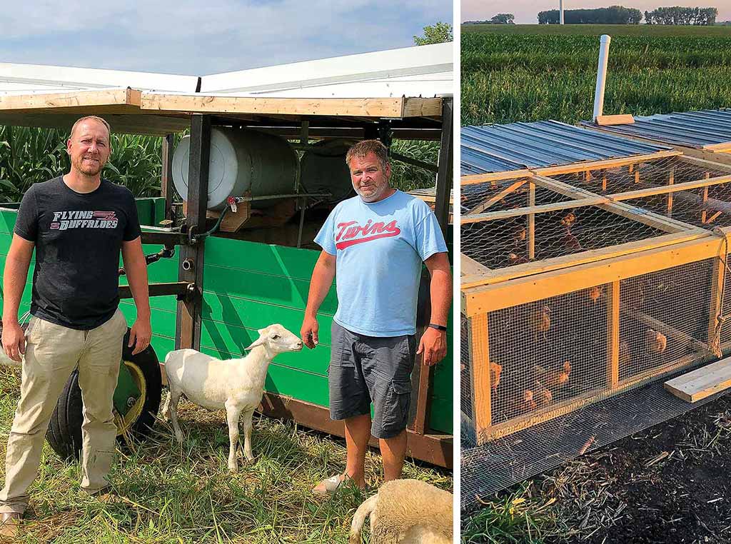 zack and sheldon barn with livestock