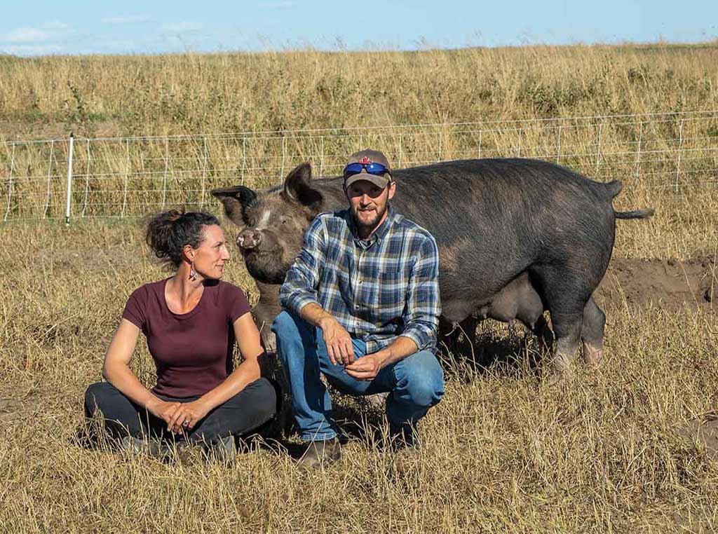 Couple with pig in pasture
