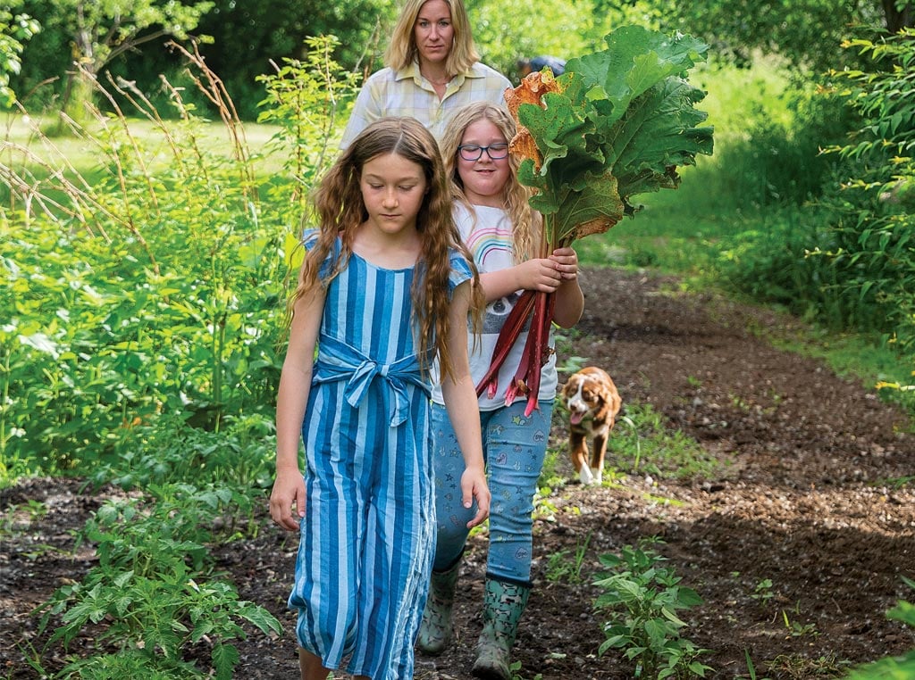 Family gathering rubarb plants